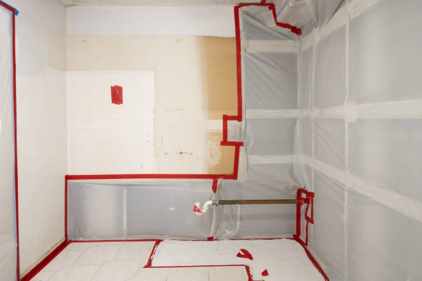 Best Black Mold Removal  in Wedgefield, SC